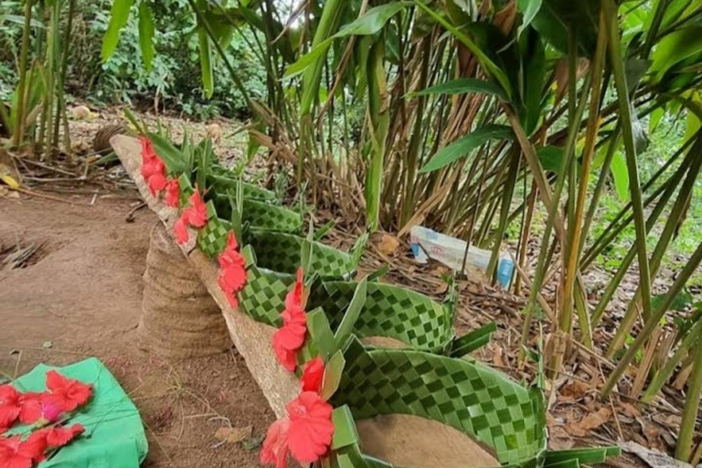 Sansibar: Bio-Gewürzfarm Tour mit traditionellem MittagessenHoteltransfer überall auf Sansibar
