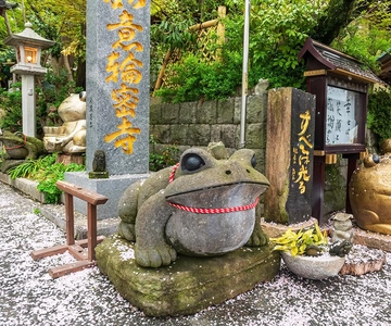 Fukuoka: Tour di Kyushu con Dazaifu, Tempio della rana, Yufuin, Onsen