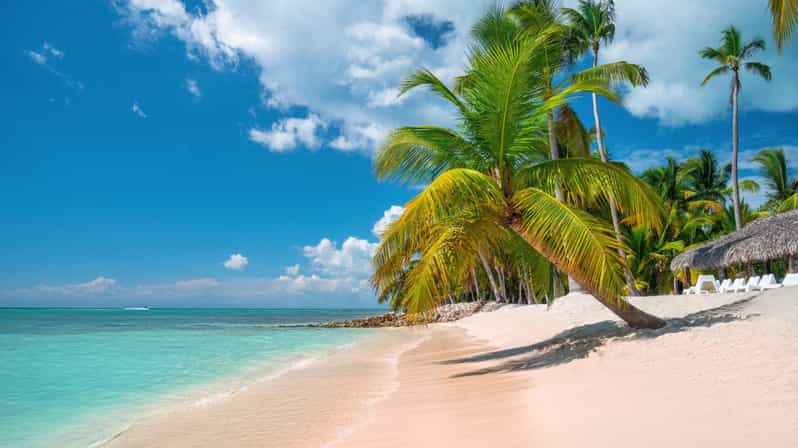 Catalina Island: Even More Unspoiled than Saona