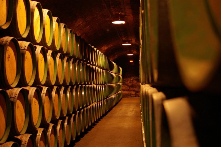 Weinpfade und mittelalterliche Geschichten: Bilbaos Herzland Tour
