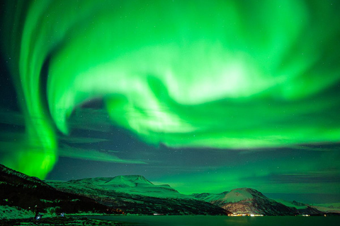 Tromsø: Northern Lights Bus Tour