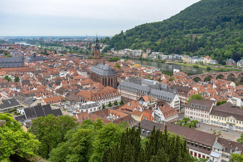 从法兰克福：海德堡、吕德斯海姆和莱茵河谷游船英语团体导览游