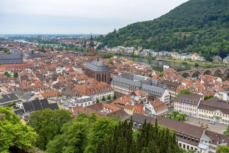 从法兰克福：海德堡、吕德斯海姆和莱茵河谷游船英语团体导览游