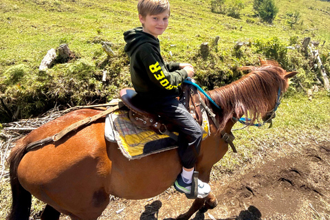 2-hour horseback riding + Private transportation + Photos & videos + Gift for the first 5 to book 2-hour horseback ride + private transportation + photos & videos + gift for the first 5 to book.