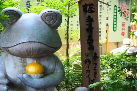Fukuoka: Beppu Hells HotSpring, il Tempio della Rana e Yufuin DayTrip