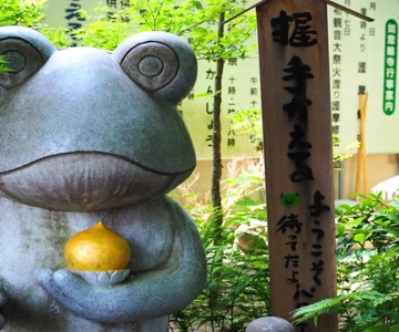 Fukuoka: Beppu Hells HotSpring, il Tempio della Rana e Yufuin DayTrip