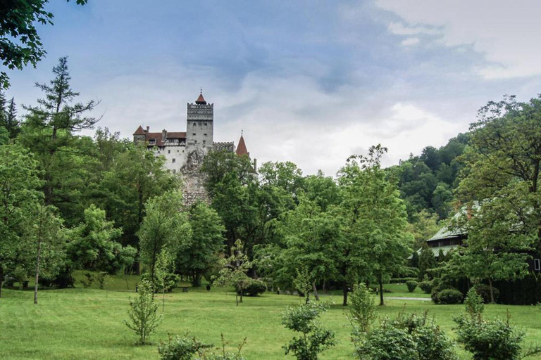 Brașov: Peleș, Bran & Cantacuzino Private Tour + Tickets Without Entry Tickets