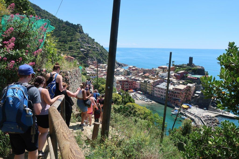 Cinque Terre & Pisa from Florence: Coastal Adventure & Hike Cinque Terre – All 5 Villages with Scenic Hike