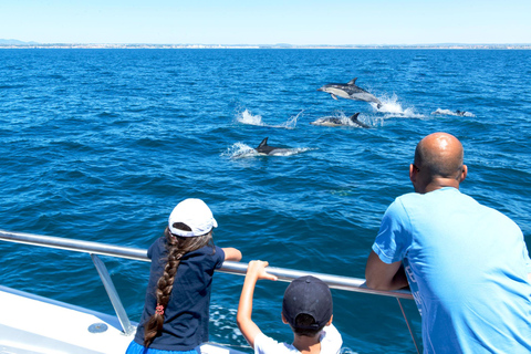 Portimão:Dolphins & Benagil Caves Catamaran-Marine Biologist