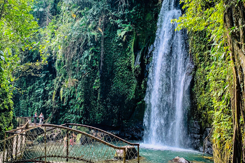 Ubud privato: Cascate, tempio dell&#039;acqua, terrazza di risoTour di un giorno (10-12 ore di tour), escluse le tariffe dei biglietti d&#039;ingresso