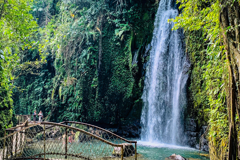 Ubud privato: Cascate, tempio dell&#039;acqua, terrazza di risoTour di un giorno (10-12 ore di tour), escluse le tariffe dei biglietti d&#039;ingresso