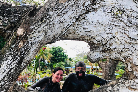 Nadi: Orchid Garden of Sleeping Giant & Hotspring Tour