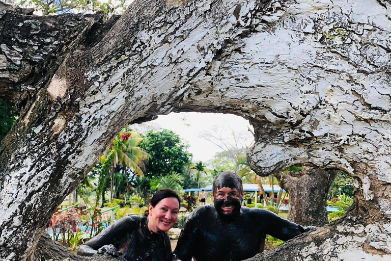 Nadi: Orchid Garden of Sleeping Giant & Hotspring Tour