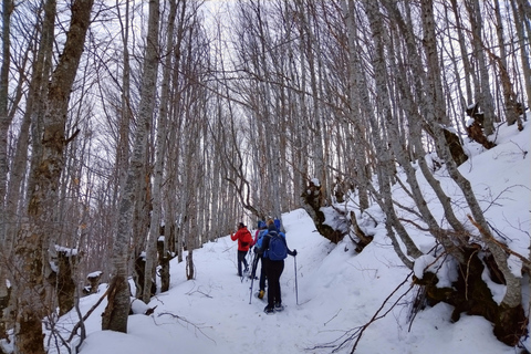 Schneeschuhwandern auf dem Berg Jahorina