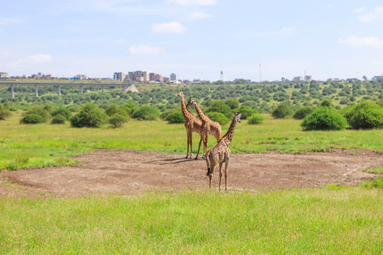 Tour in Nairobi National Park in een 4X4 Landcruiser