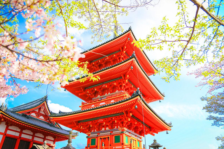 Excursion d'une journée à Kyoto et Nara, sites inscrits au patrimoine mondial de l'UNESCODe Kyoto