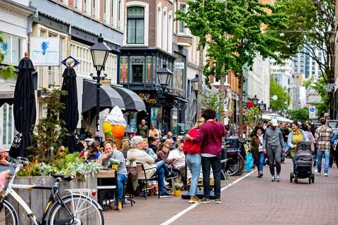 Passeio de um dia com guia particular em Roterdã e Dordrecht