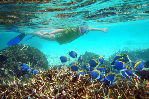 From Colombo: Trincomalee 3-Day Private Tour with Hotel