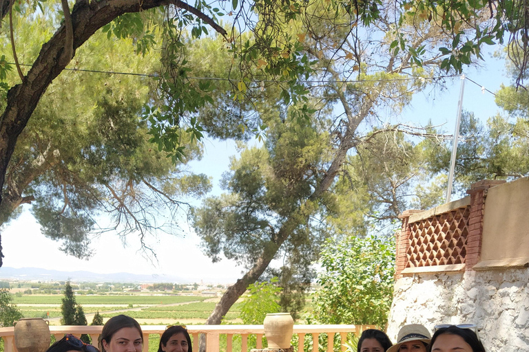 Valencia: Utiel-Requena Wine Tour with Tapas and Wines