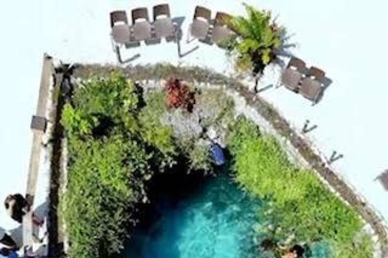 Zanzibar: Jaskinia Salaam i pływanie z żółwiamiTa opcja nie obejmuje transportu.