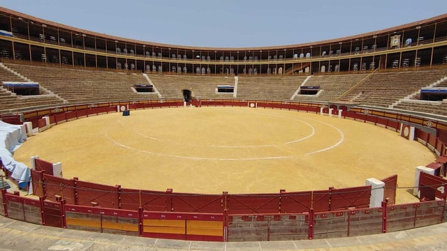 Blue Pass: Plaza de Toros bullring and flamenco show with tapa and drink included