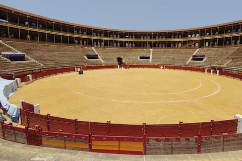 Blue Pass: Plaza de Toros and flamenco show with tapa and drink included