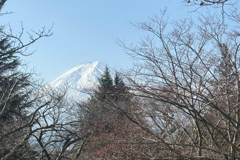 Tokyo: Mount Fuji and Hakone Private Helicopter Tour