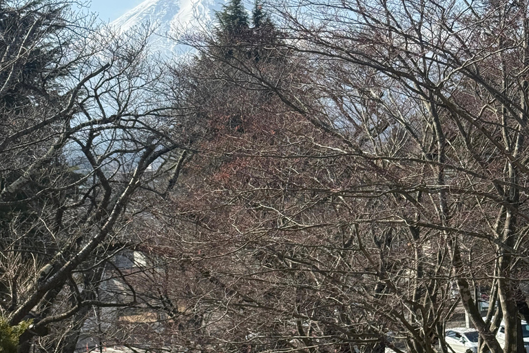 Tokyo: Mount Fuji and Hakone Private Helicopter Tour