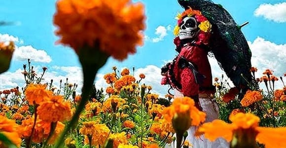 Oaxaca: Cemetery tour, marigold field, and Day of the Dead altar.