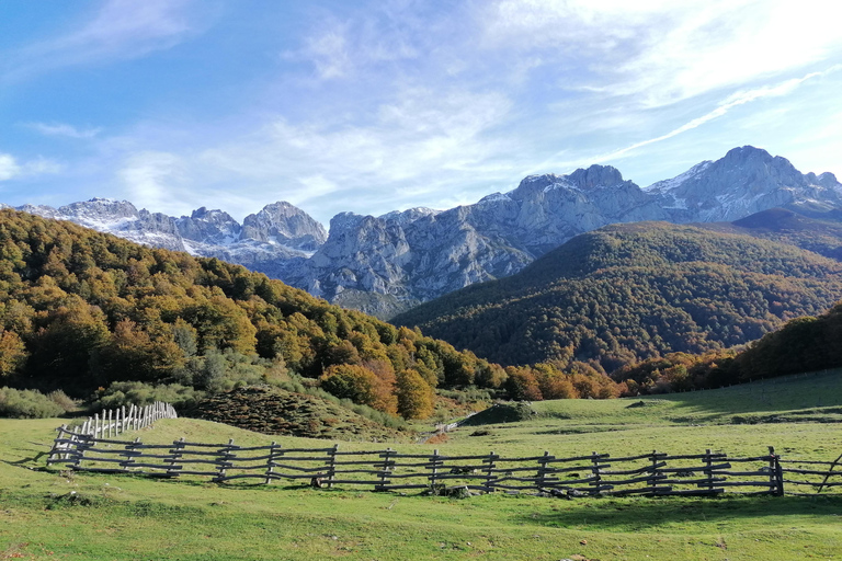 Cangas de Onís: Route in het bos van Vegabaño met lunch in een berghut