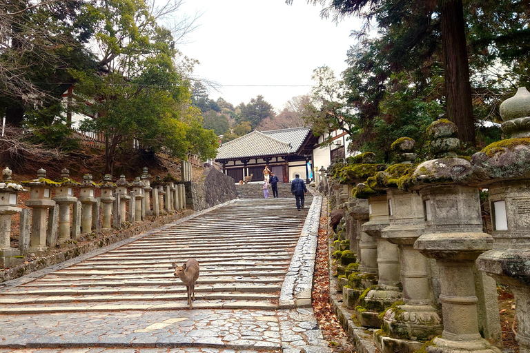 Nara UNESCO-listat världsarv Långsam cykeltur