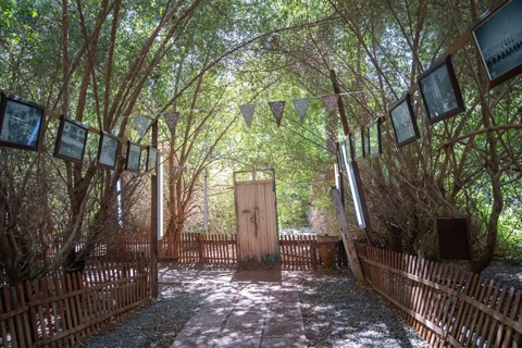 Jeddah: Makkah and Madinah Private Tour and Transfer