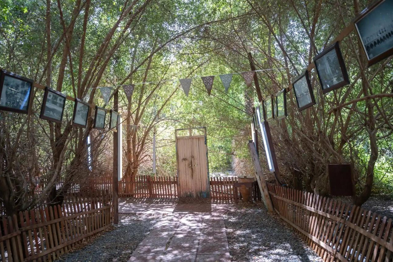 Jeddah: Makkah and Madinah Private Tour and Transfer