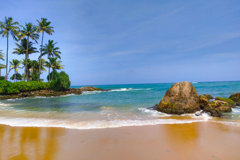 From Colombo: 4-Day Tour with Car, Guide, Meals, Hotels