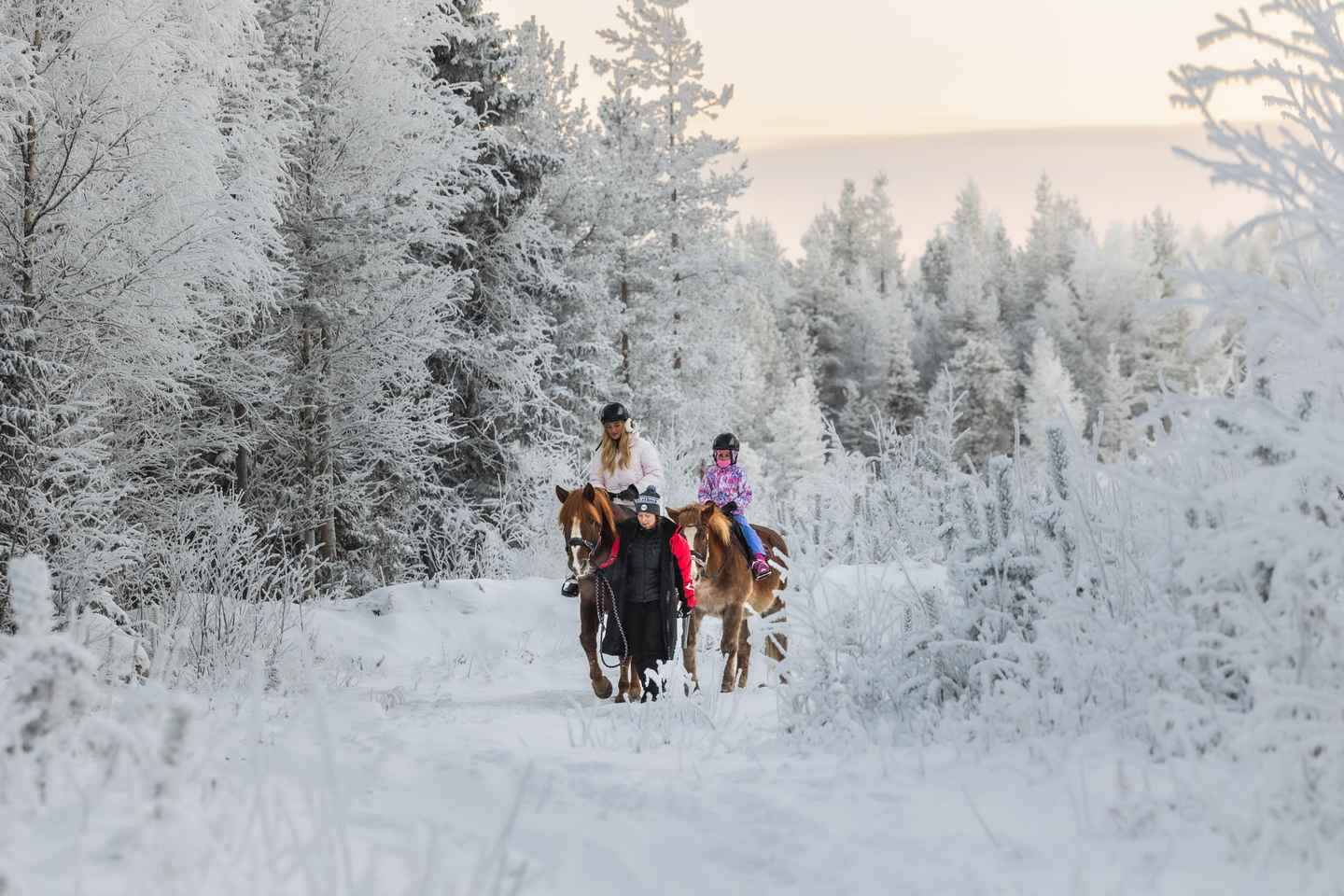 Rovaniemi: Riding Tour with Finnhorses at SCV