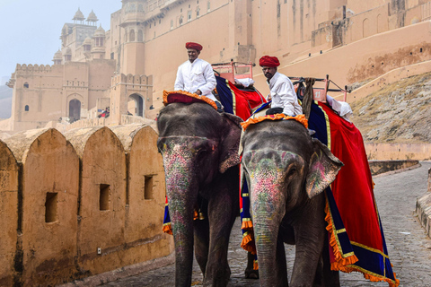 Jaipur Pink City Private Day Tour from Delhi