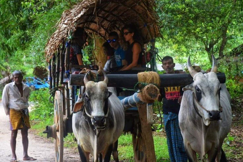 Sigiriya Village Tour with Lion Rock Climb Under Full Moon
