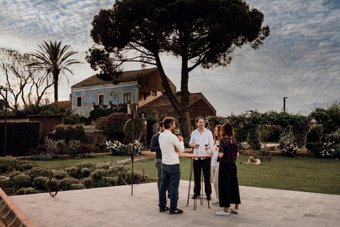 Catania: Siciliansk lunch på vingård med vinprovning