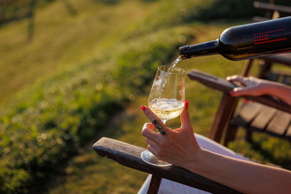 Sveti Martin na Muri: degustazione di vini presso la cantina Hažić