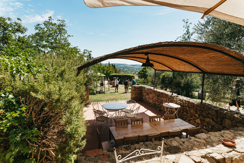 Florence : Sienne, San Gimignano et Chianti en petit groupeJournée complète de visite de la campagne avec déjeuner