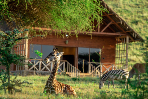 A DAY AT SERVAL WILDLIFE