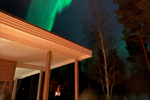 Levi: Chase The Northern Lights with Guarantee