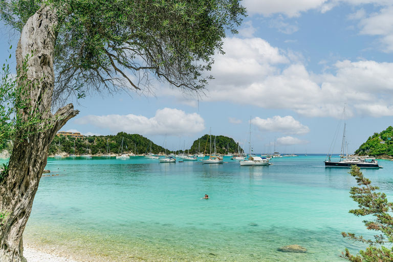 Vanaf Korfoe: boottocht Antipaxos en blauwe Paxos-grottenOphaalservice vanaf Korfoe (eiland) en de haven van Korfoe