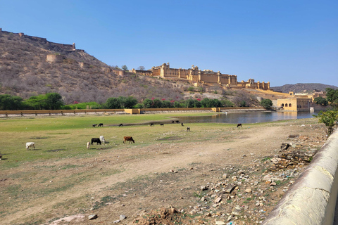 Découvrez Jaipur