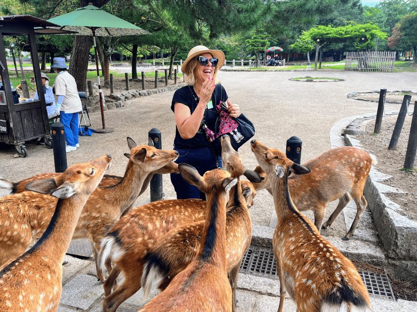 A laughing visitor surrounded by sika deer craning for crackers on a gravel path in a park, a cracker seller's cart behind her