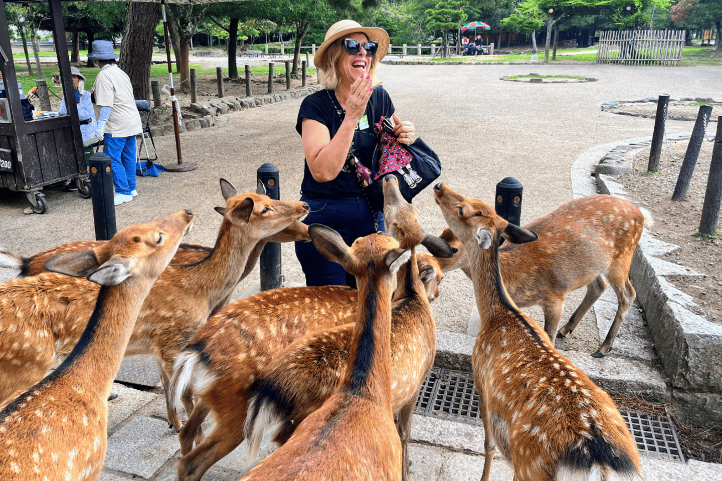 From Kyoto: Nara Guided Morning Tour - From Kyoto: Nara Guided Morning Tour