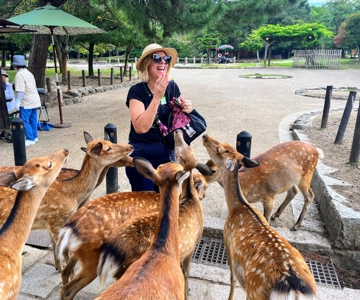 De Kyoto: Visita guiada matinal a Nara