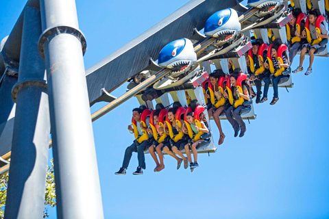 San Francisco: California's Great America Admission Ticket