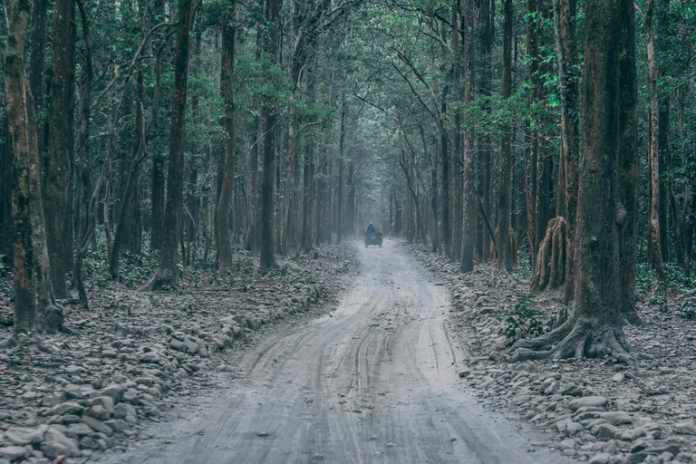 Delhi : 2 jours d&#039;aventure dans le safari Jim Corbett