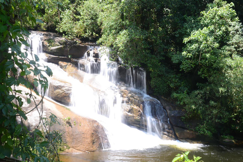 Aventure en Jeep à Paraty : sentier écologique, distillerie et baignade dans la rivièreAventure en Jeep à Paraty : parcours écologique, distillerie et baignade dans la rivièr